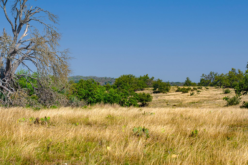 0 Maner Road Fredericksburg, TX 78624 - Photo 3 of 26 a view of lake view with beach