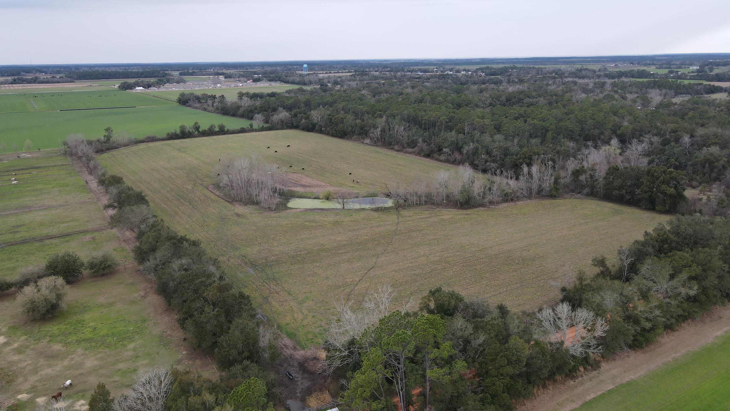 0 Hillcrest Road Lillian, AL 36549 - Photo 8 of 16