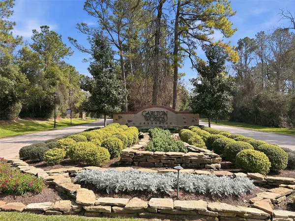 a view of a garden with large trees
