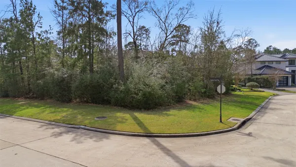 a view of a green yard with large trees