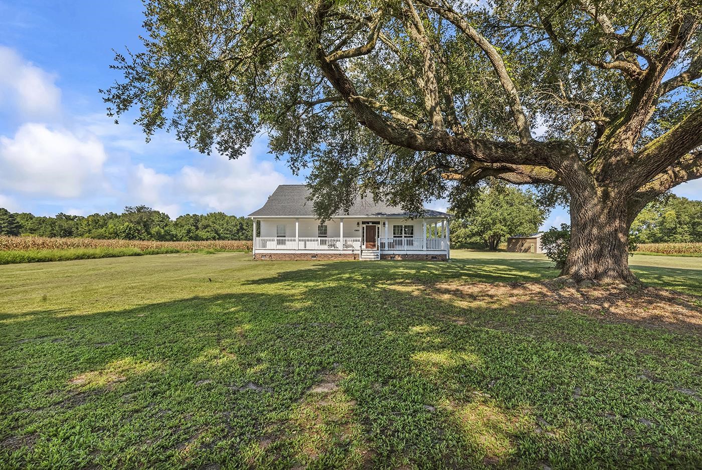 3568 State Rd S-14-401 Alcolu, SC 29001 - Photo 13 of 65 Gallery Image 13