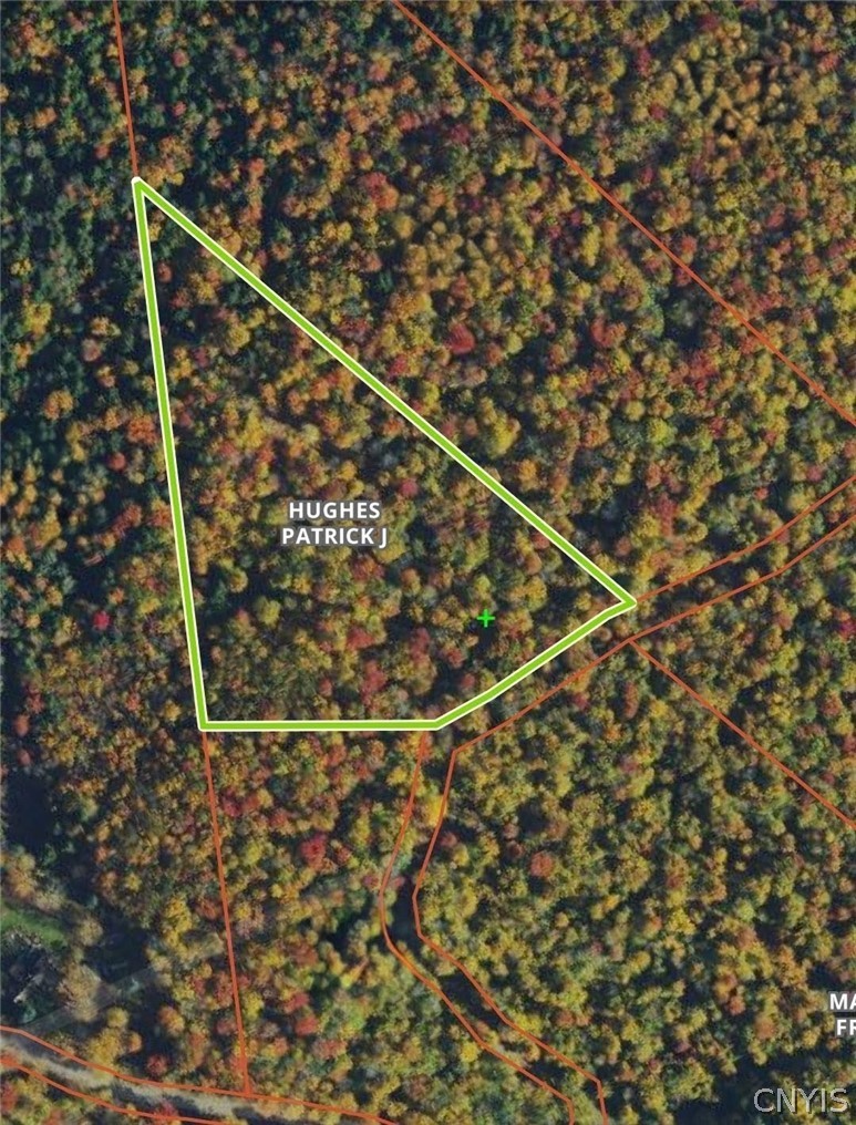 2 Tamblin Ridge Trail Bernhards Bay, NY 13028 - Photo 12 of 12