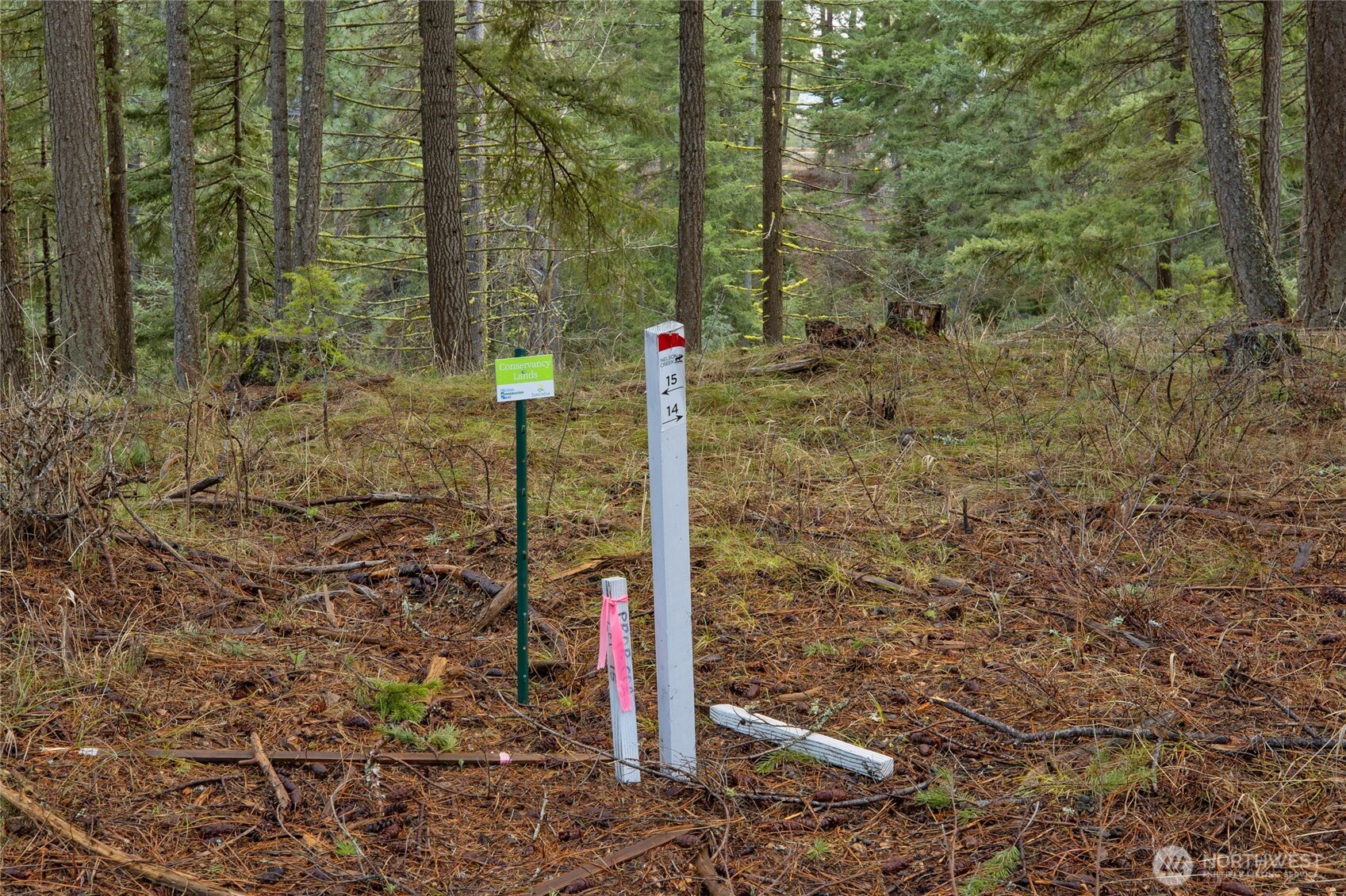 14 Farmhouse Way Cle Elum, WA 98922 - Photo 11 of 24