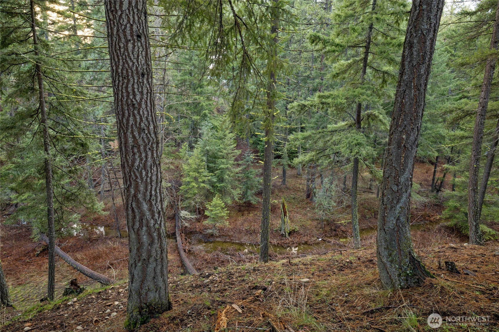 14 Farmhouse Way Cle Elum, WA 98922 - Photo 12 of 24