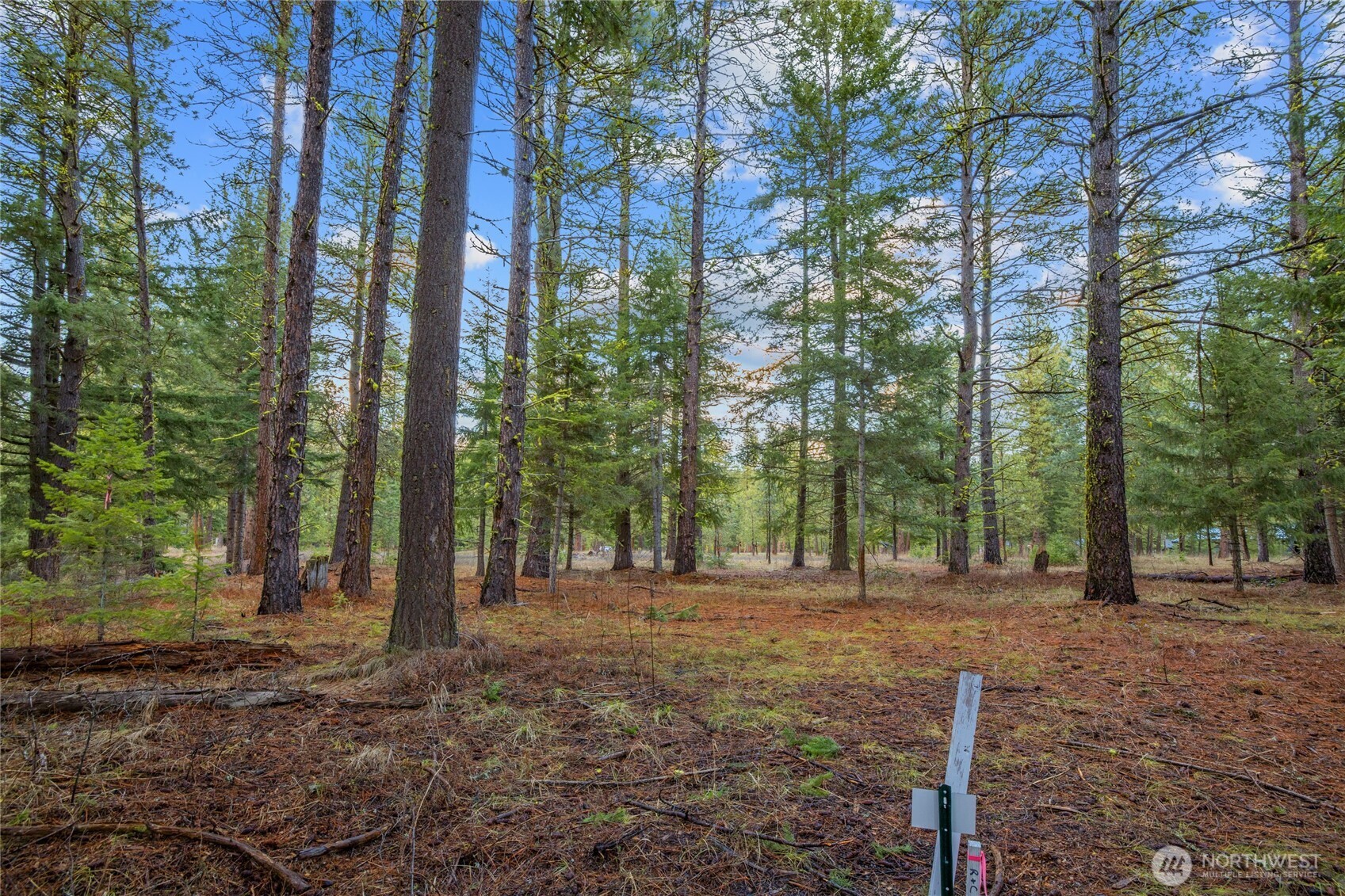 14 Farmhouse Way Cle Elum, WA 98922 - Photo 13 of 24