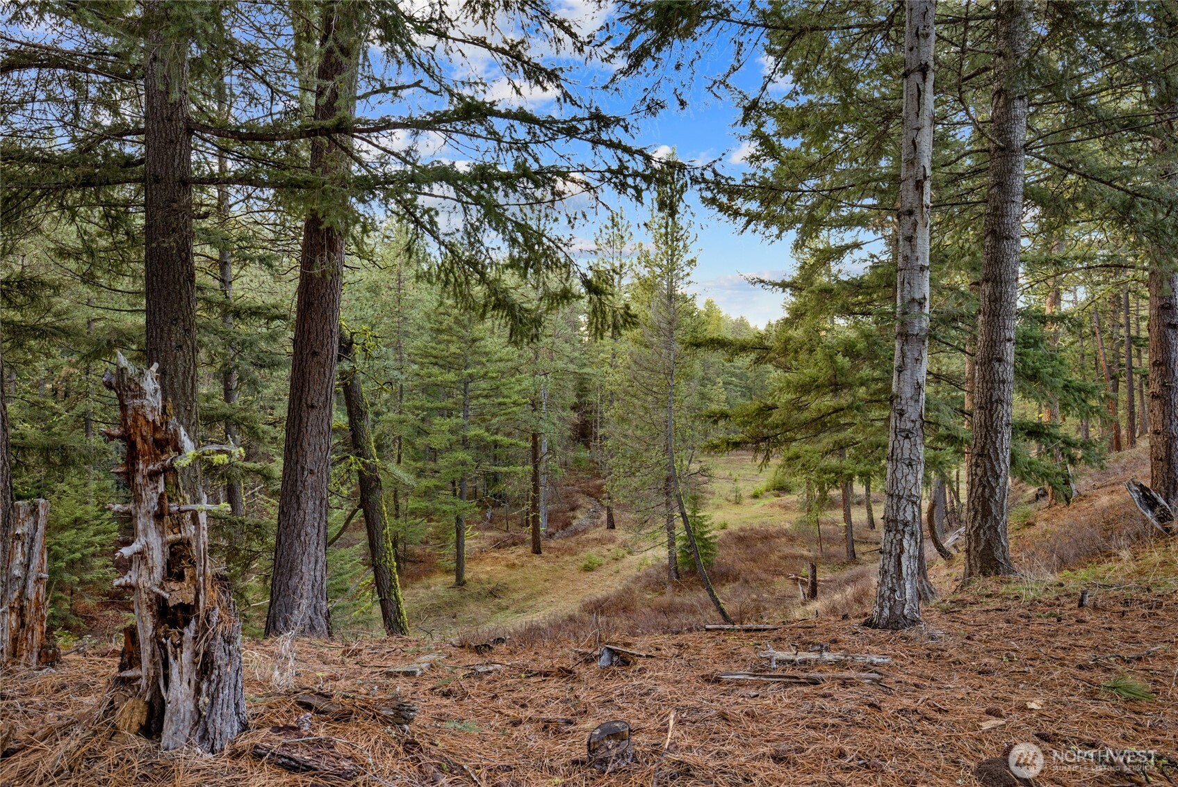 14 Farmhouse Way Cle Elum, WA 98922 - Photo 14 of 24