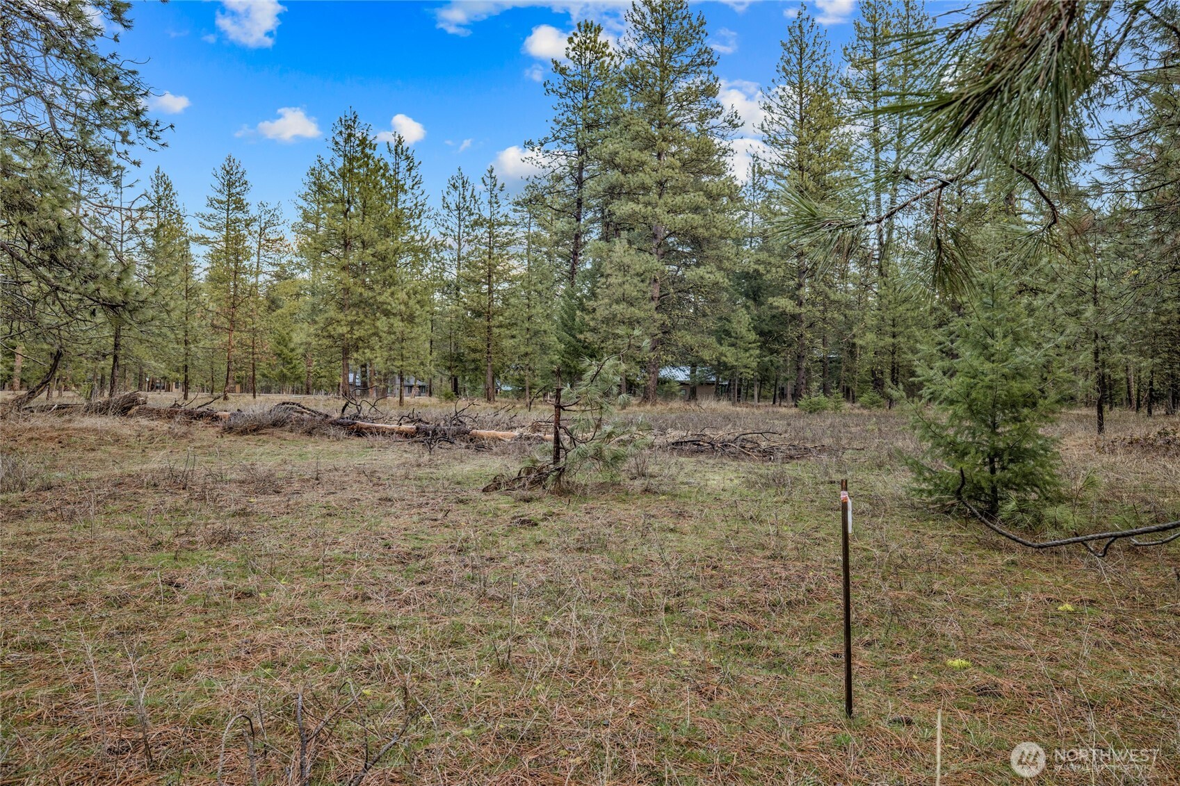 14 Farmhouse Way Cle Elum, WA 98922 - Photo 16 of 24