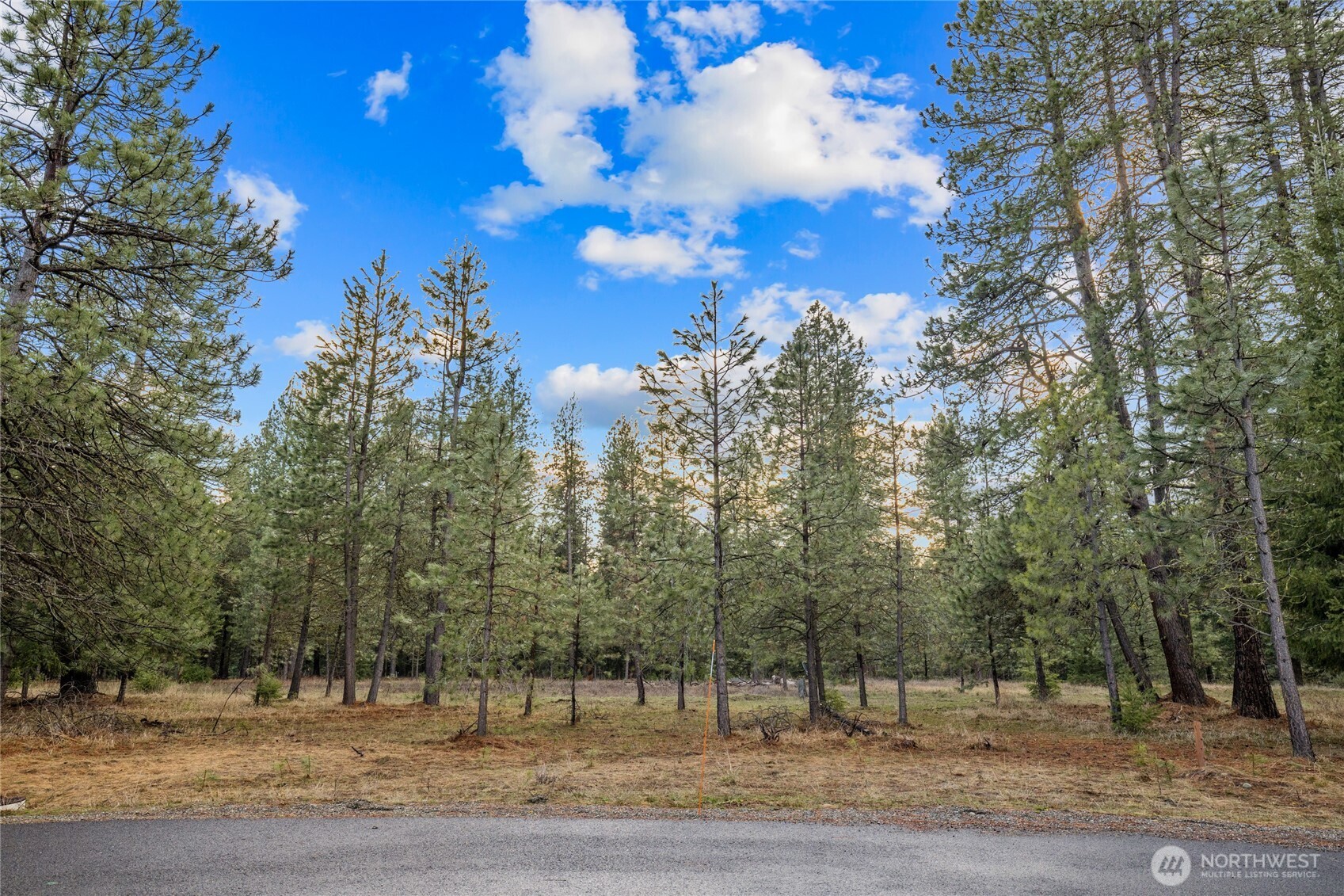 14 Farmhouse Way Cle Elum, WA 98922 - Photo 7 of 24