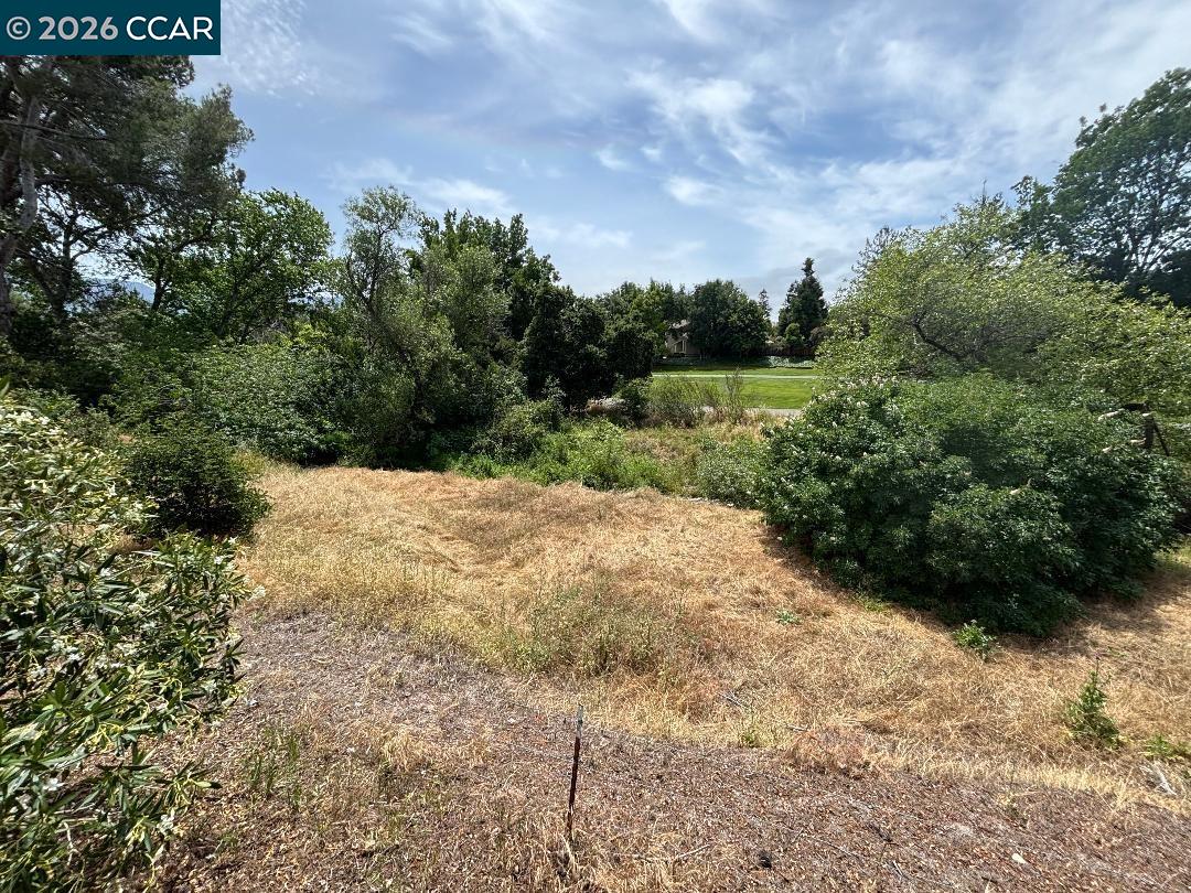 5460 Concord Boulevard, Unit B7 Concord, CA 94521 - Photo 18 of 20 a view of a yard with plants and a tree