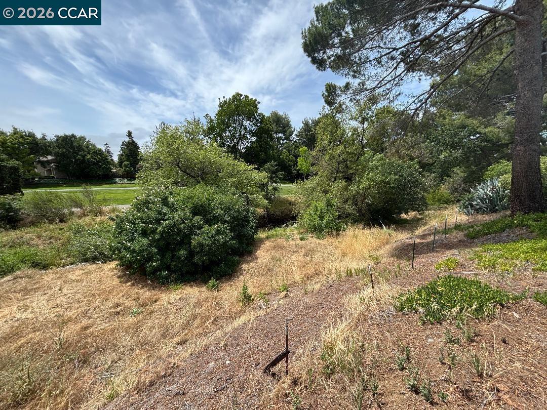 5460 Concord Boulevard, Unit B7 Concord, CA 94521 - Photo 19 of 20 a view of a yard with plants and a bench