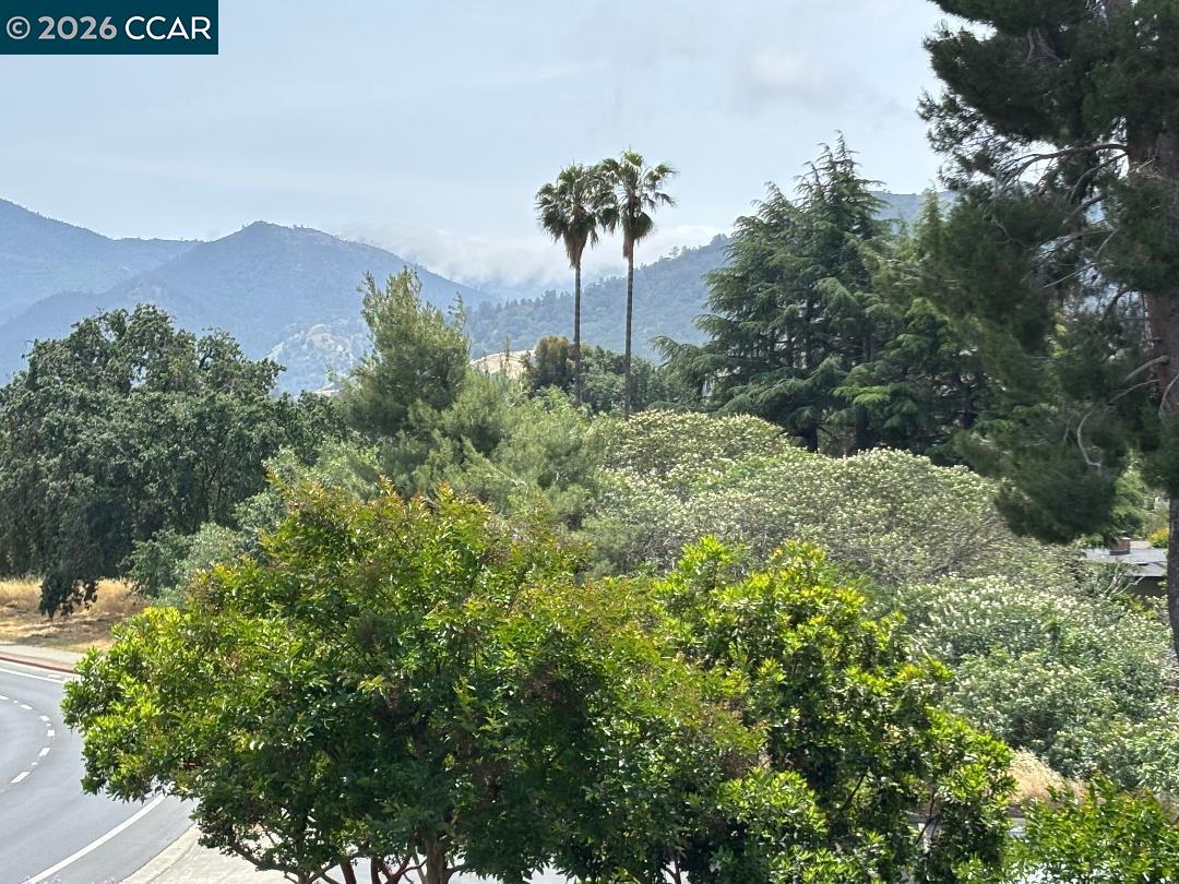 5460 Concord Boulevard, Unit B7 Concord, CA 94521 - Photo 2 of 20 a view of a house with a mountain and a forest