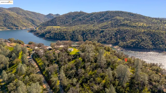a view of a bunch of trees and mountains