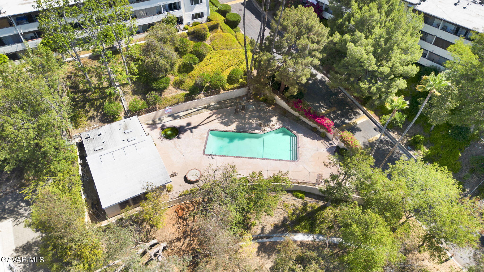 1935 Alpha Road, Unit 112 Glendale, CA 91208 - Photo 21 of 23 a view of a yard with plants