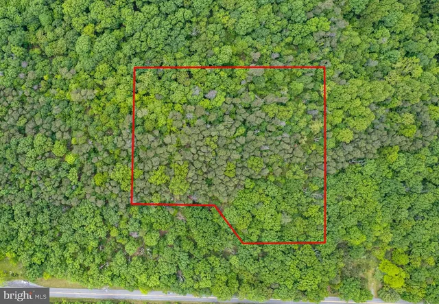 $99,900 | Lot 2 Timber Ridge Road North, Cross Junction, VA 22625
