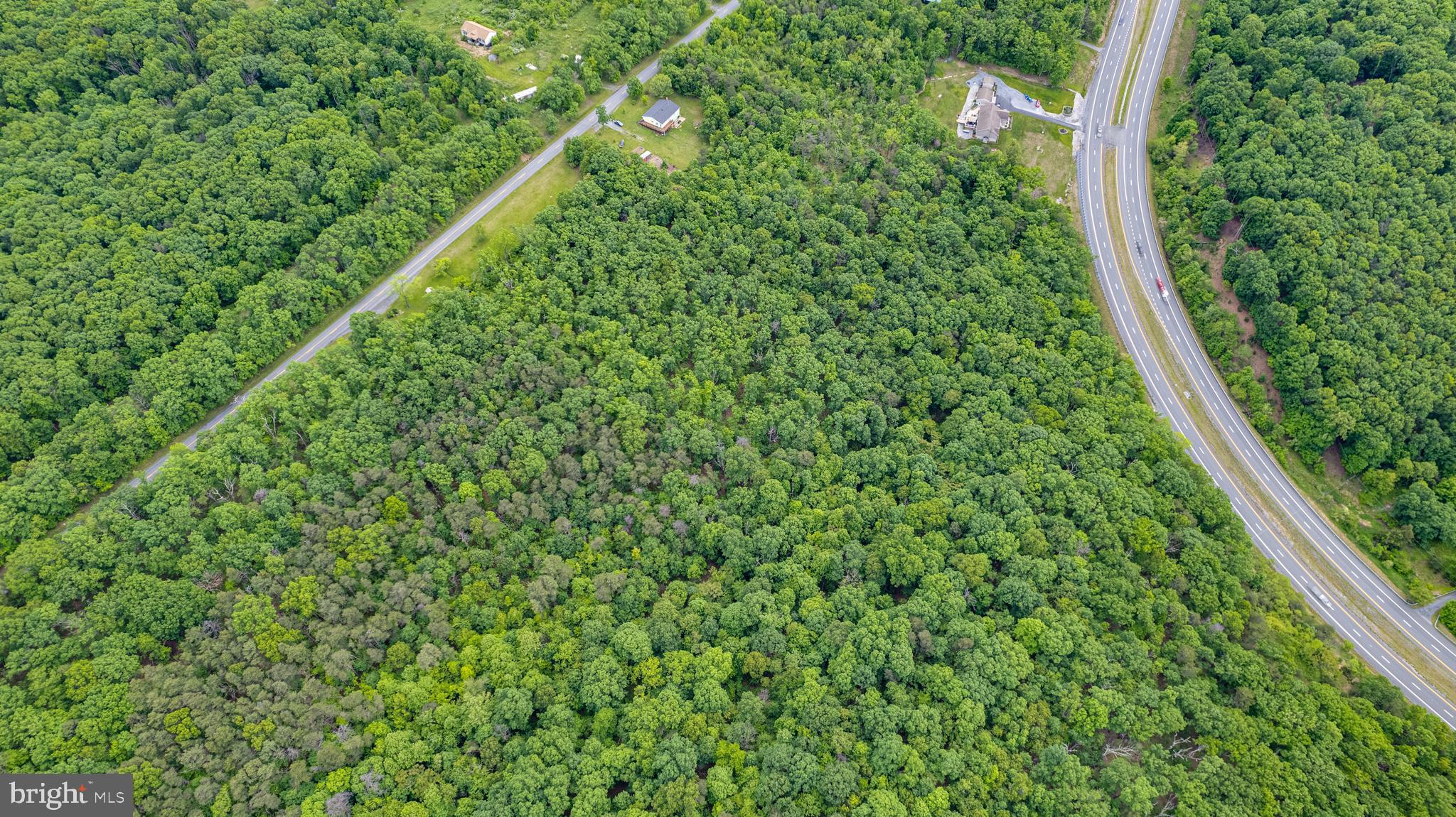 Lot 2 Timber Ridge Road North Cross Junction, VA 22625 - Photo 4 of 8