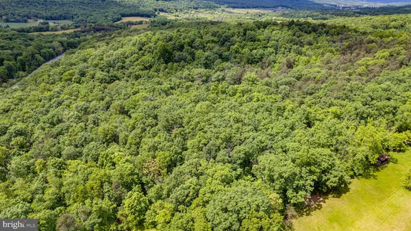$99,900 | Lot 2 Timber Ridge Road North, Cross Junction, VA 22625
