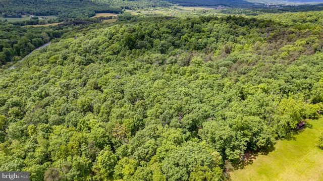 $99,900 | Lot 2 Timber Ridge Road North, Cross Junction, VA 22625