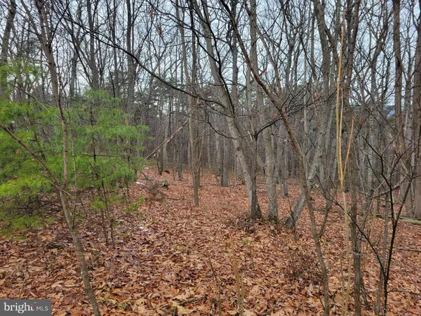 $99,900 | Lot 2 Timber Ridge Road North, Cross Junction, VA 22625