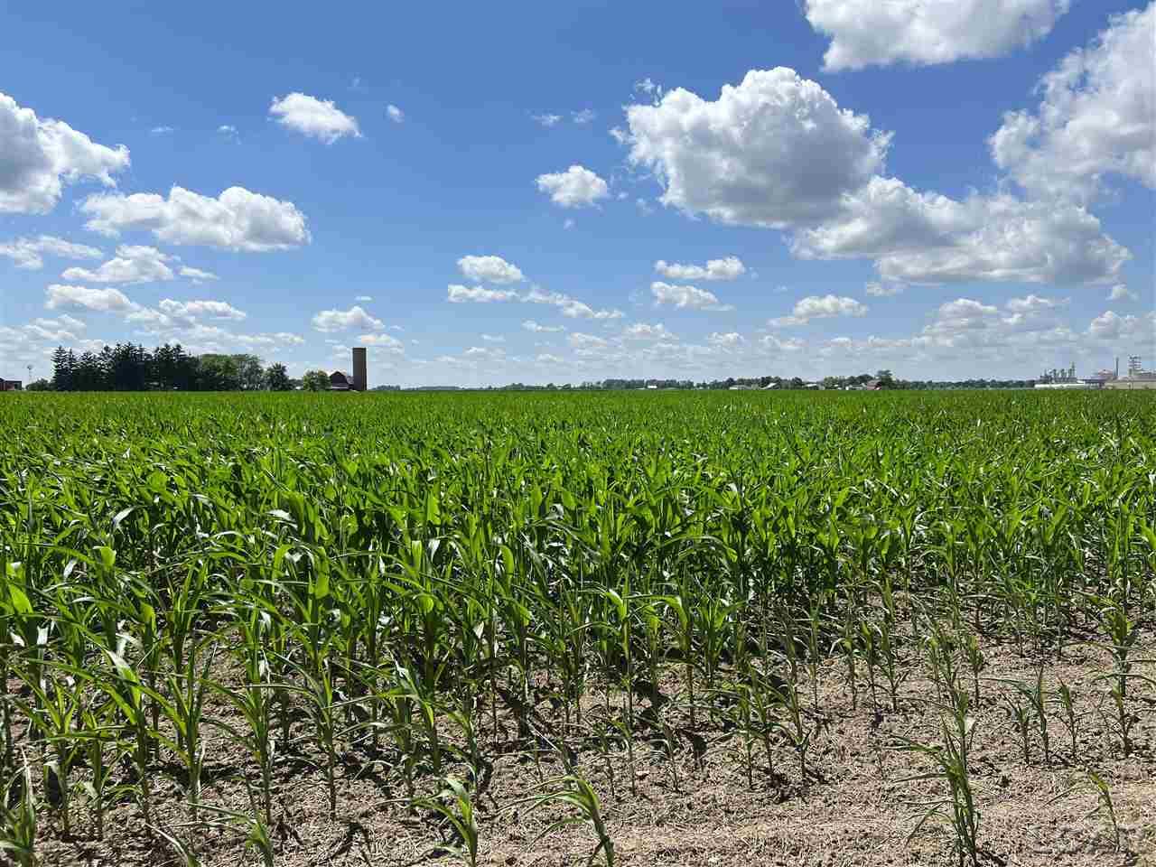 7554 Riga Highway Riga, MI 49276 - Photo 9 of 28 50082383-8.JPG