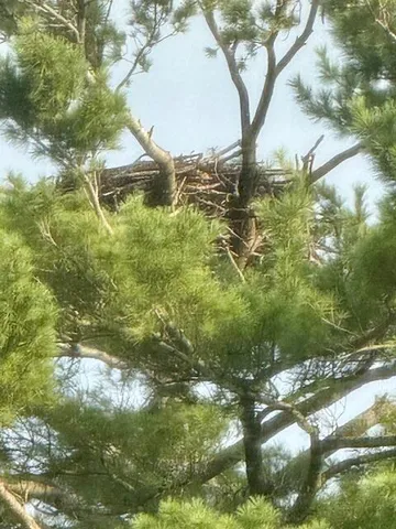 $330,000 | 272 Thoroughfare Road, Sinclair, ME 04779