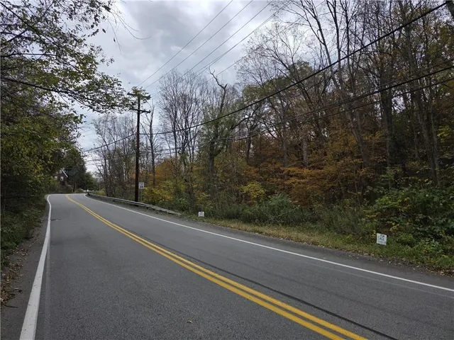 a view of a yard from a window