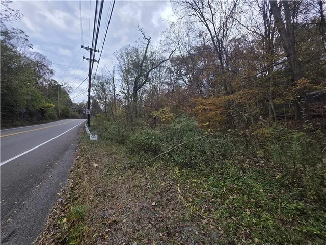 a view of a yard with plants and a tree