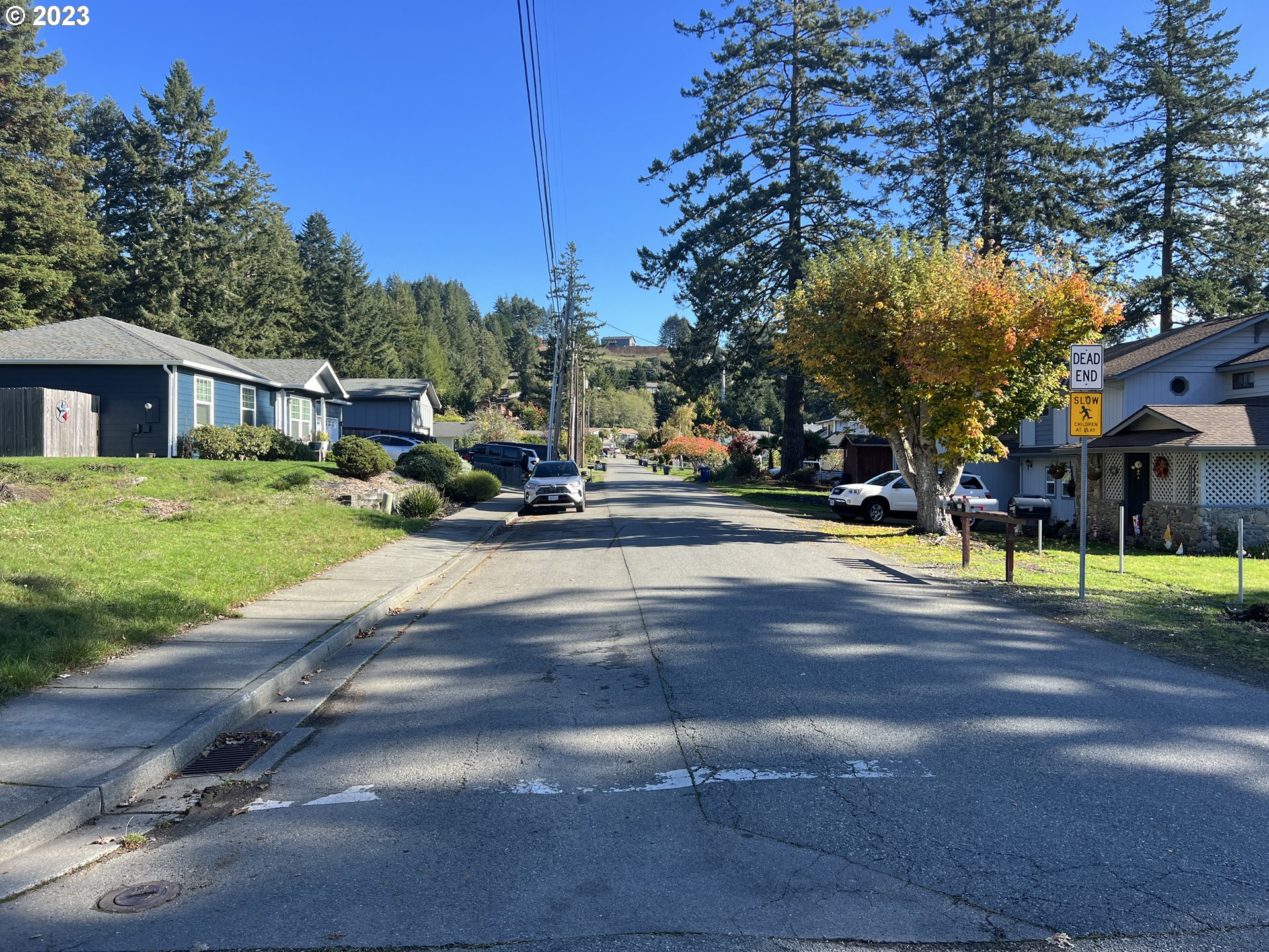 Meadow Lane Brookings, OR 97415 - Photo 13 of 13 a view of a park with large trees