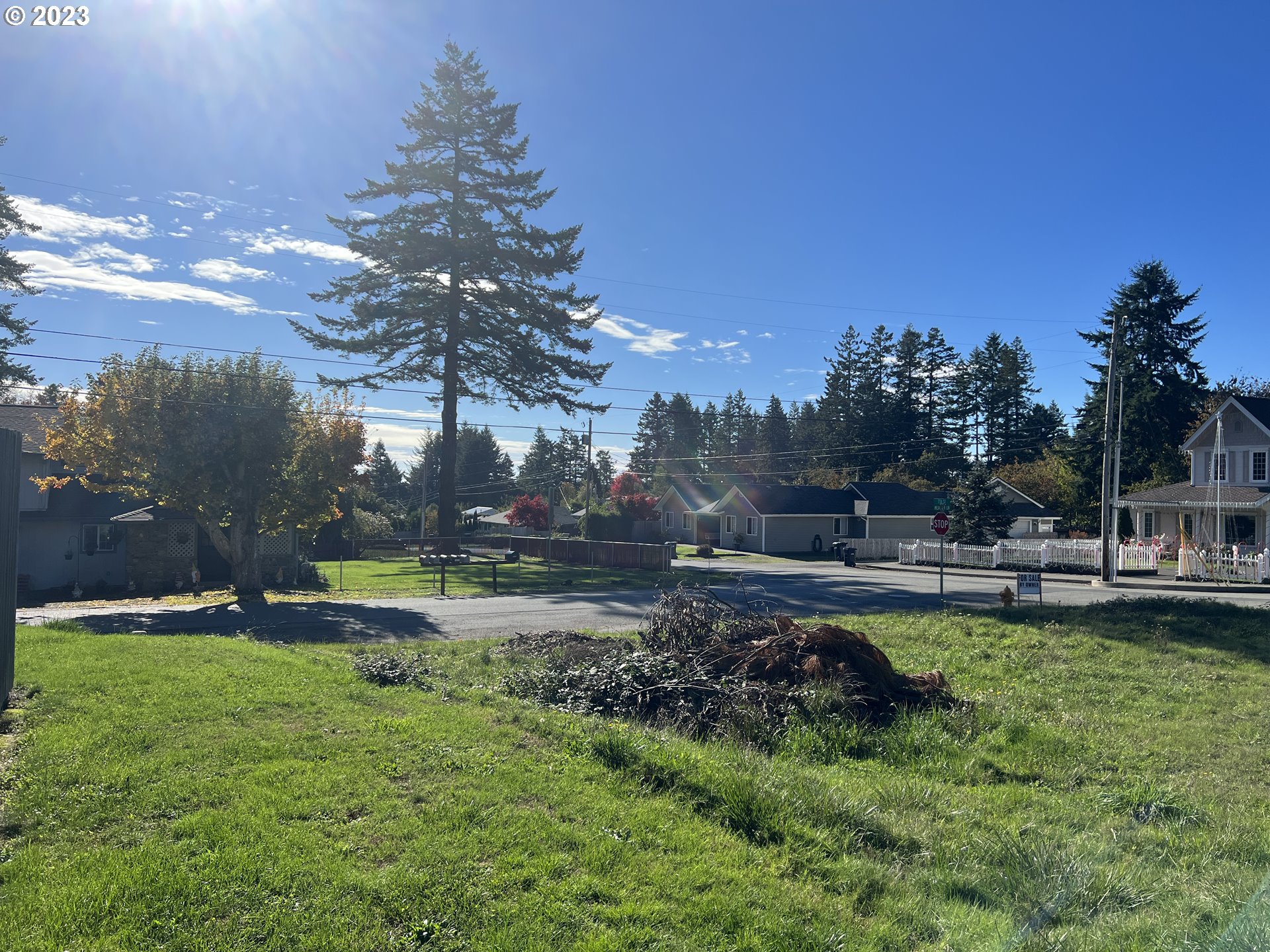 Meadow Lane Brookings, OR 97415 - Photo 8 of 13 a backyard of a house with lots of green space