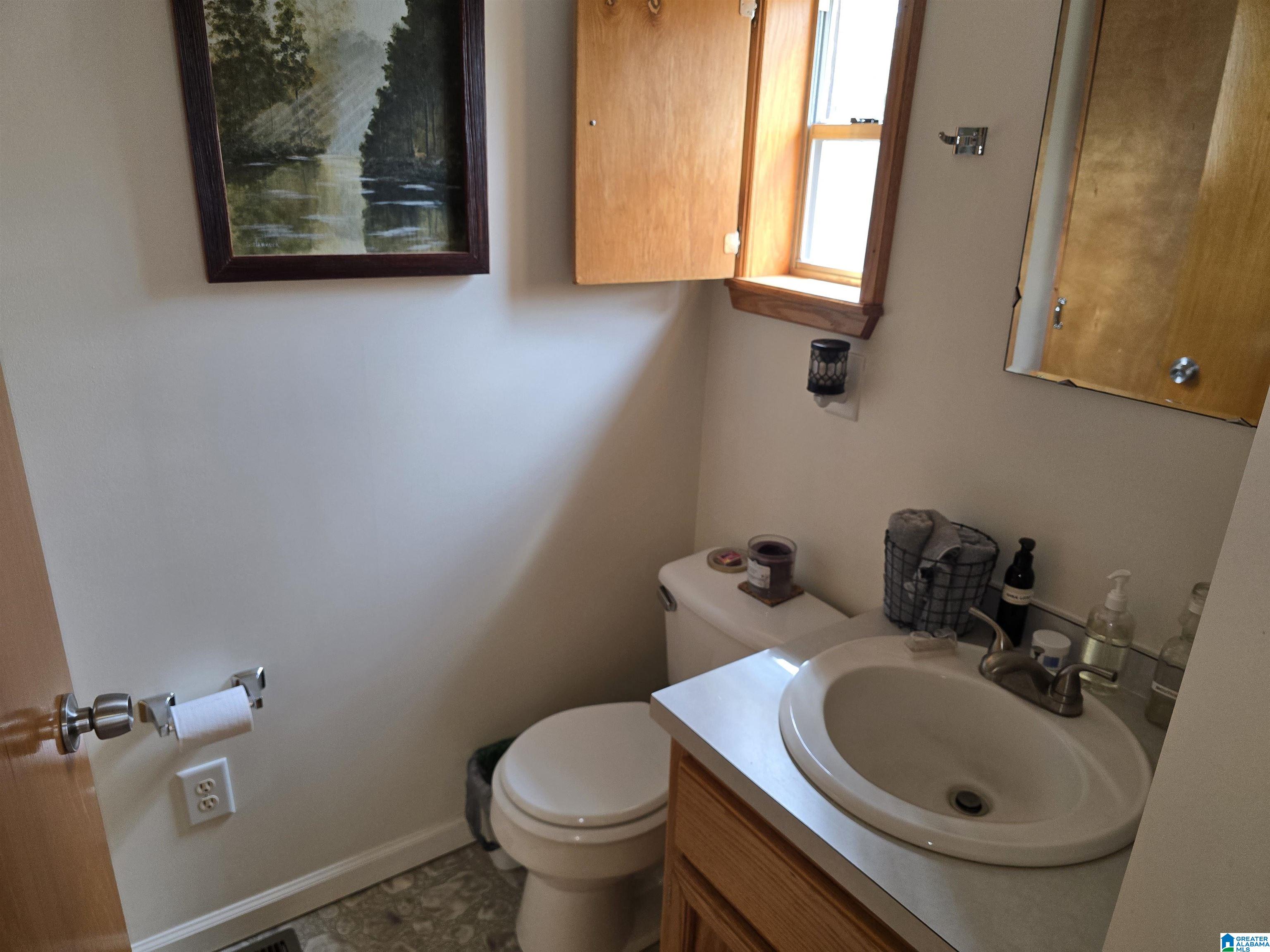 354 Springwell Road Rockford, AL 35136 - Photo 53 of 68