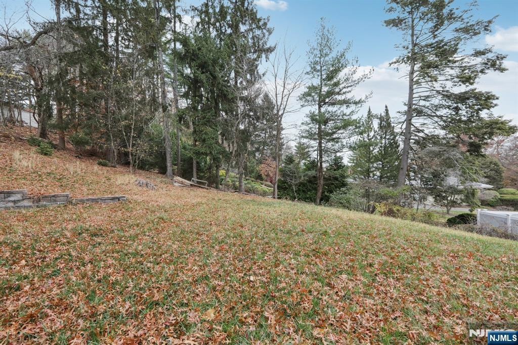 680 Soldier Hill Road Oradell, NJ 07649 - Photo 46 of 47 a view of dirt field with large trees