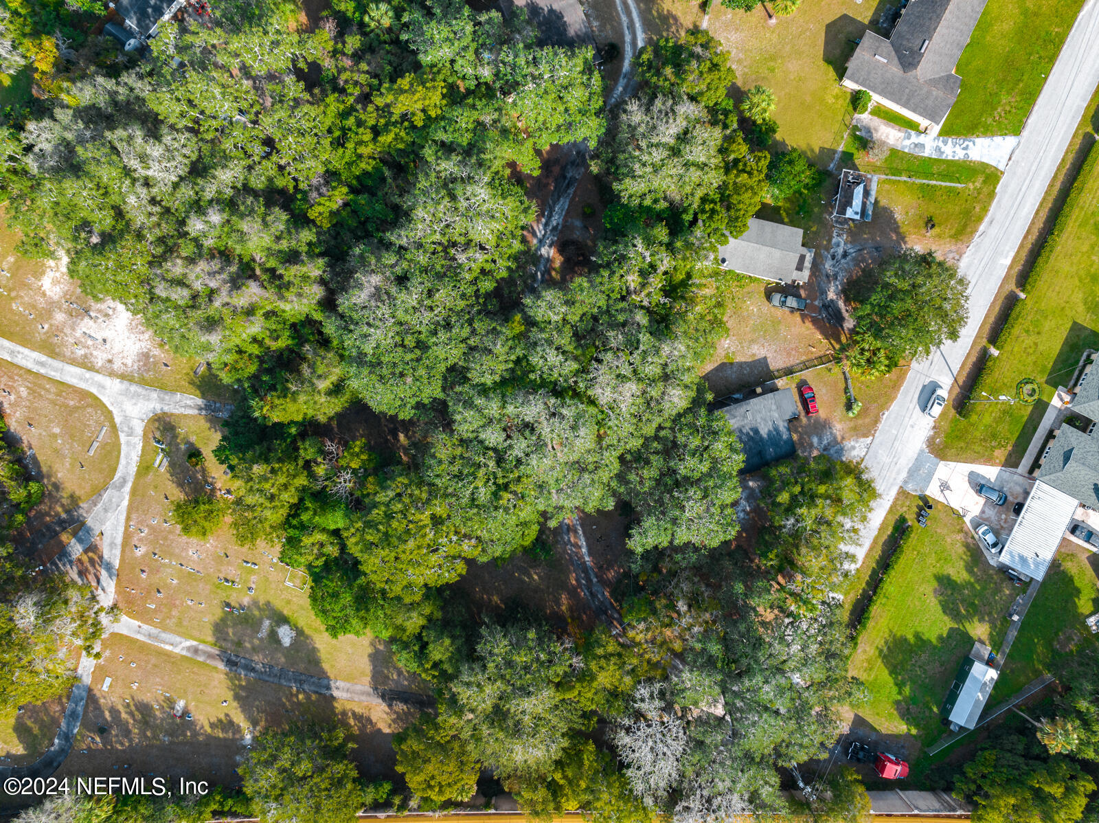 2353 York Street Jacksonville, FL 32207 - Photo 24 of 24 a plant that is in a garden