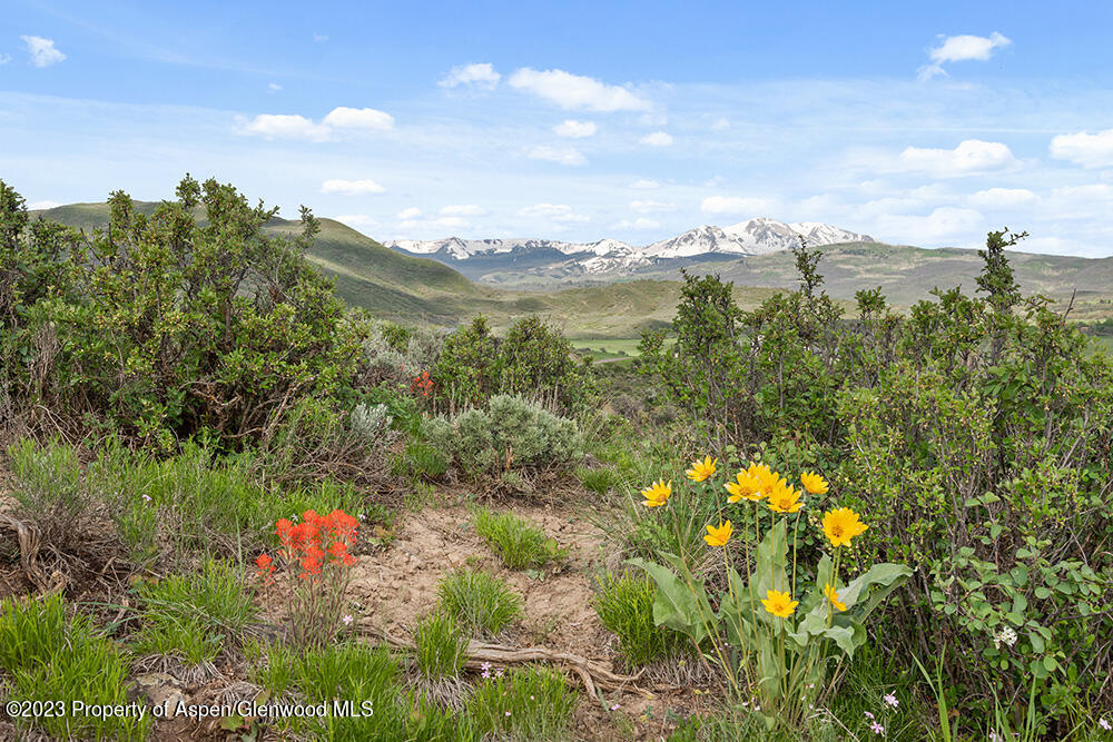 0 Lazy O Road, Unit LOT #4 Snowmass, CO 81654 - Photo 11 of 25