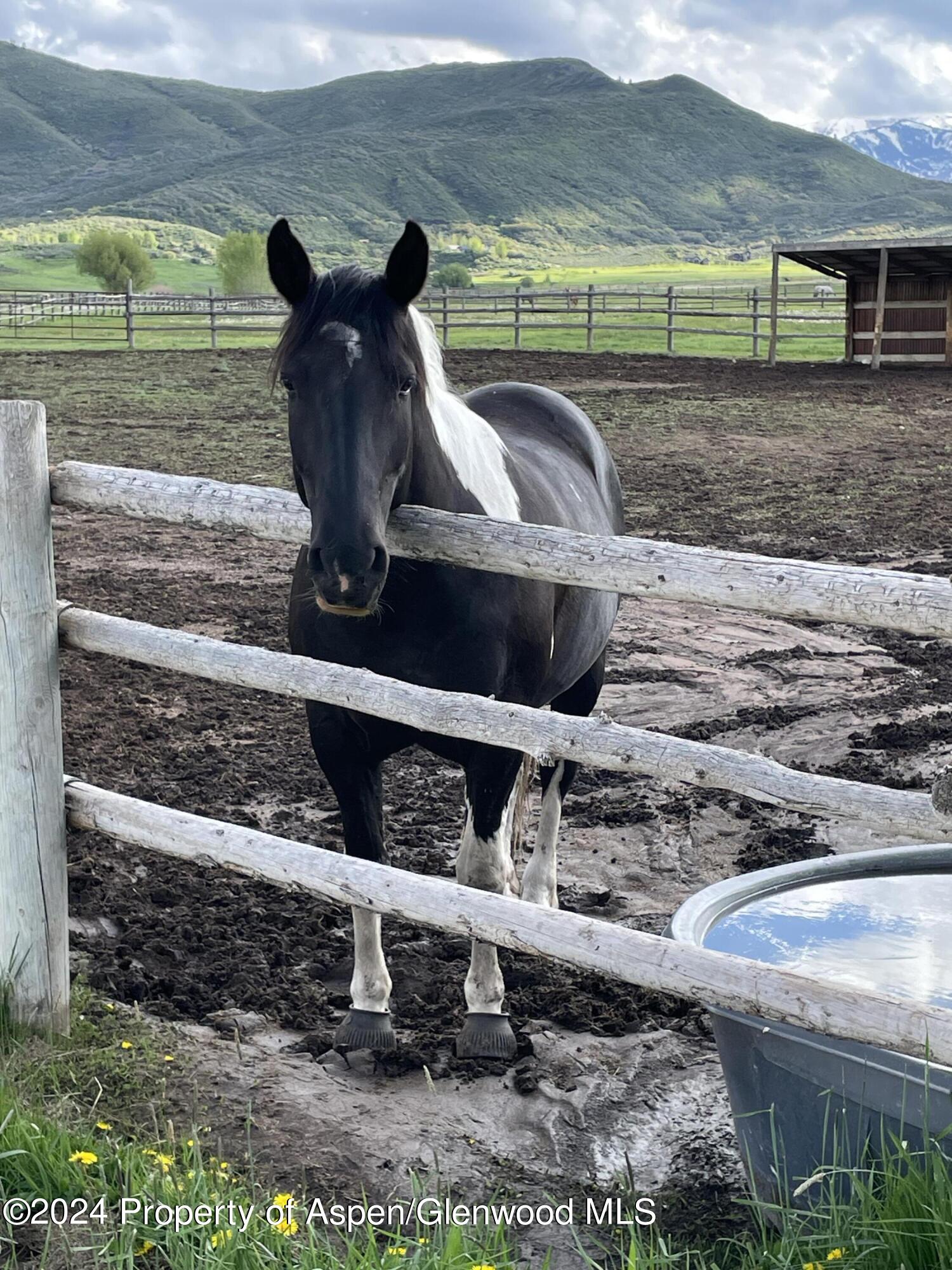 0 Lazy O Road, Unit LOT #4 Snowmass, CO 81654 - Photo 14 of 25 a view of backyard with seating space and trees