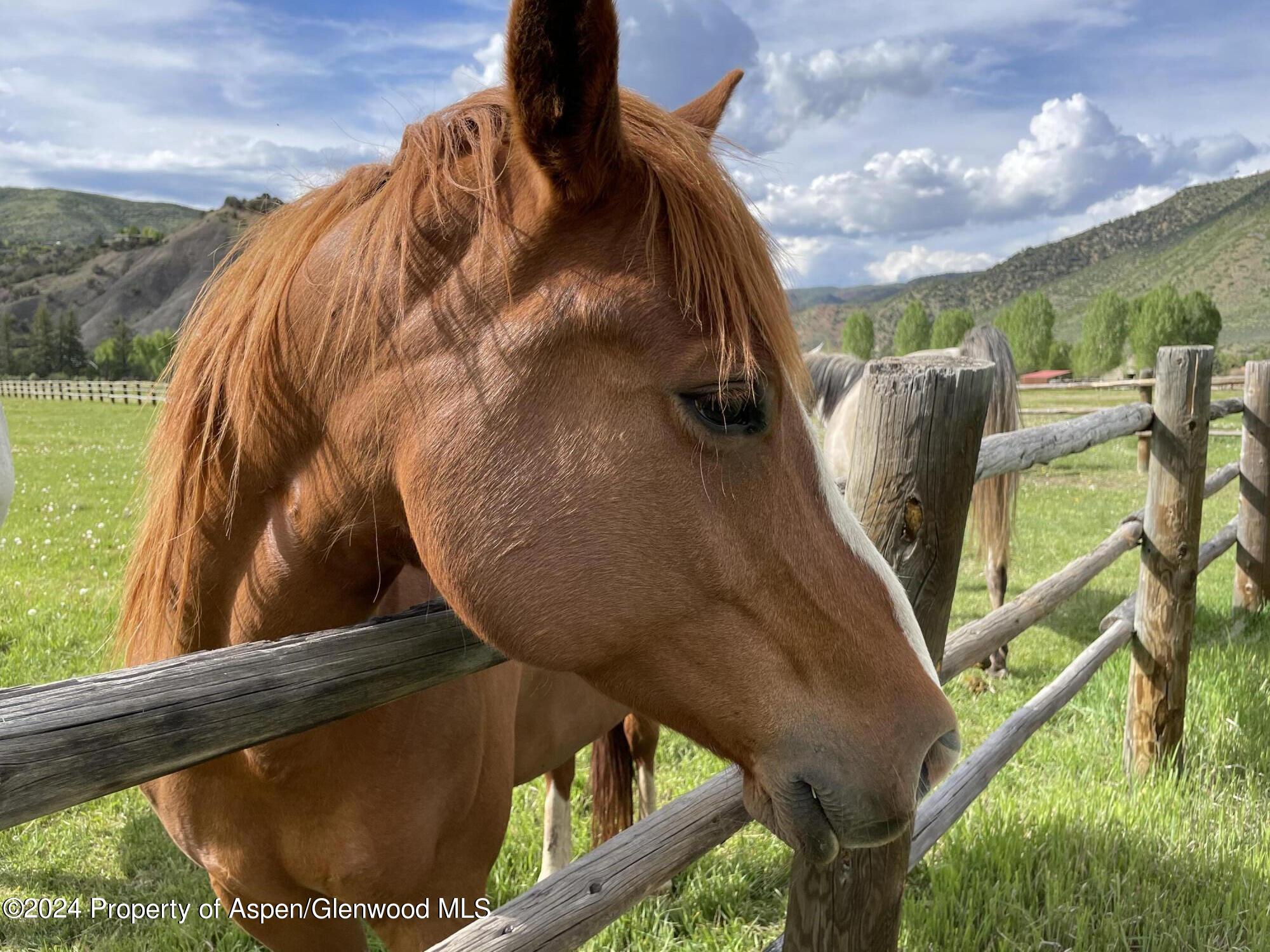 0 Lazy O Road, Unit LOT #4 Snowmass, CO 81654 - Photo 9 of 25