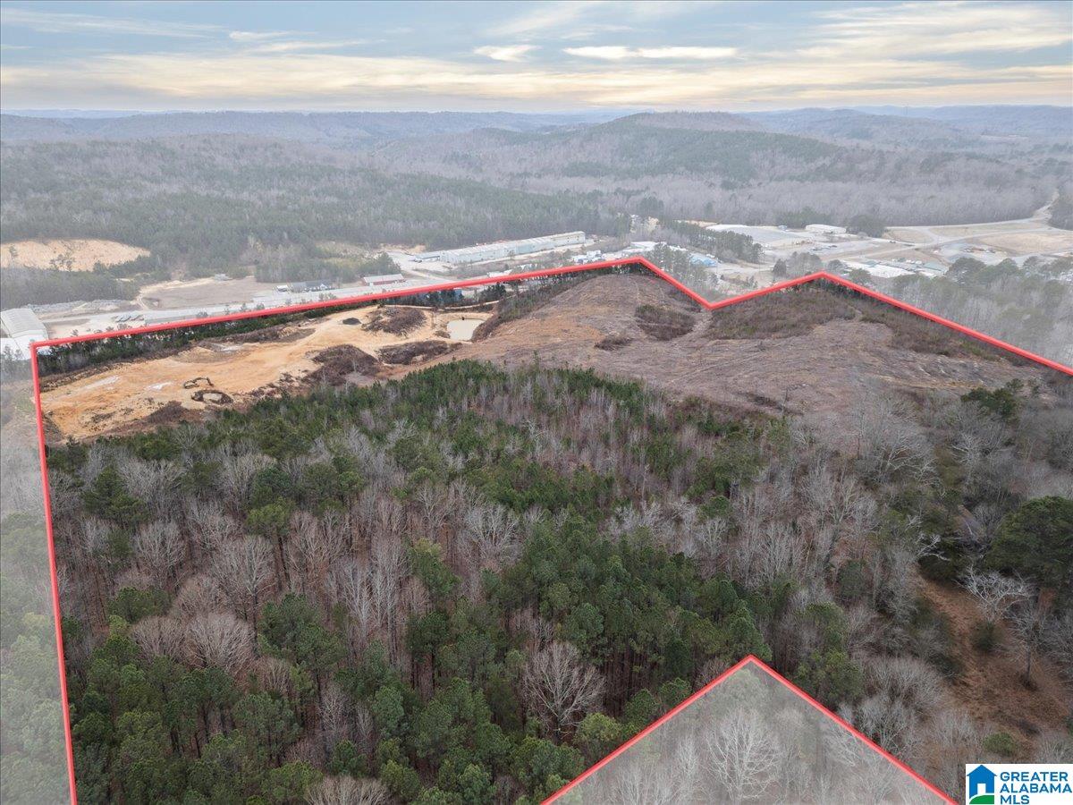409 Industrial Park Road Oneonta, AL 35121 - Photo 1 of 14