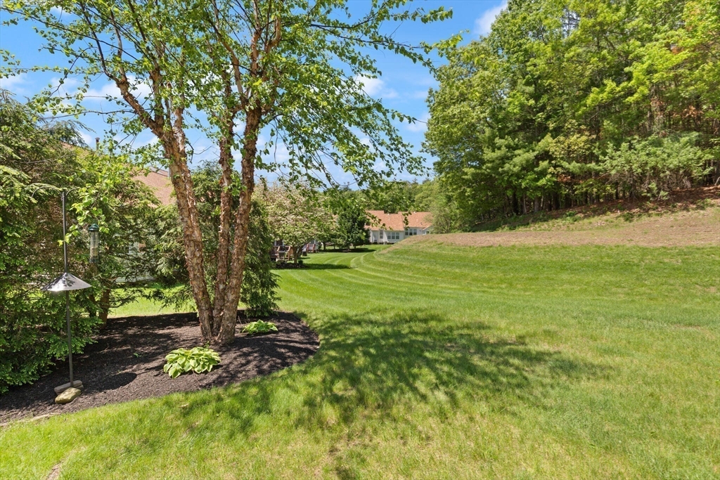 27 Brook Lane, Unit 27 Berlin, MA 01503 - Photo 33 of 36 a view of a field with a tree