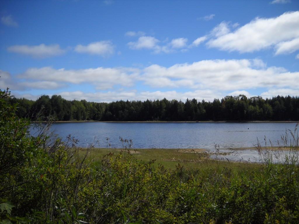 167 Silsby Road Ellsworth, ME 04605 - Photo 2 of 10 Photo