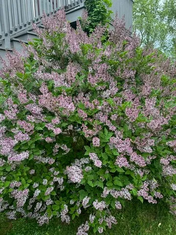 $749,000 | 161 Stanford Street, South Portland, ME 04106