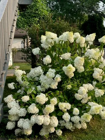 $749,000 | 161 Stanford Street, South Portland, ME 04106