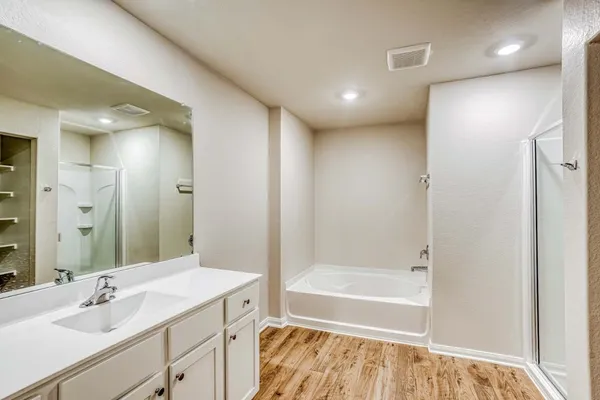 a bathroom with a bathtub shower sink vanity and a mirror
