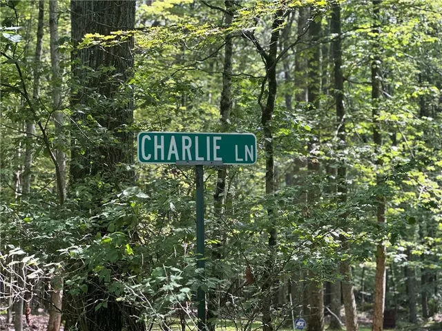 a view of a wooden house with a yard large trees with plants