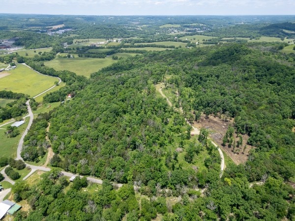 an aerial view of residential houses with outdoor space and trees