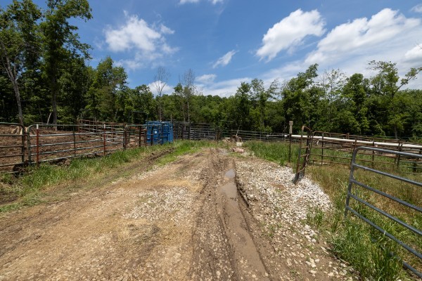 0 Goose Branch Road Lynchburg, TN 37352 - Photo 11 of 43 a view of a lake with a yard