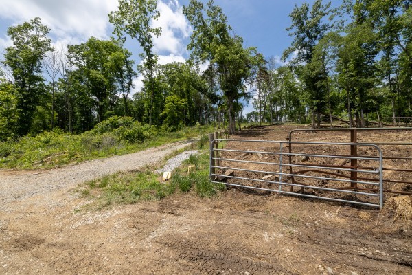 0 Goose Branch Road Lynchburg, TN 37352 - Photo 12 of 43 a view of a backyard with trees