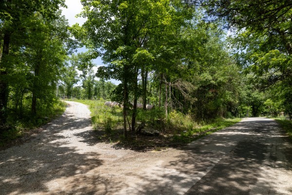 0 Goose Branch Road Lynchburg, TN 37352 - Photo 13 of 43 a pathway of a yard