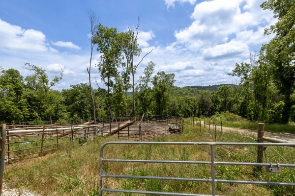 0 Goose Branch Road Lynchburg, TN 37352 - Photo 14 of 43 a view of a swimming pool with a yard