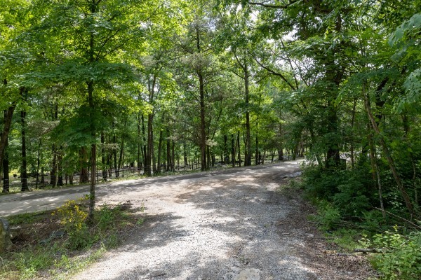 0 Goose Branch Road Lynchburg, TN 37352 - Photo 15 of 43 a view of outdoor space with trees all around