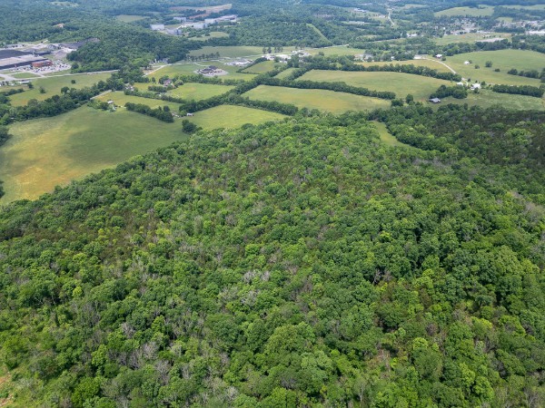 0 Goose Branch Road Lynchburg, TN 37352 - Photo 20 of 43