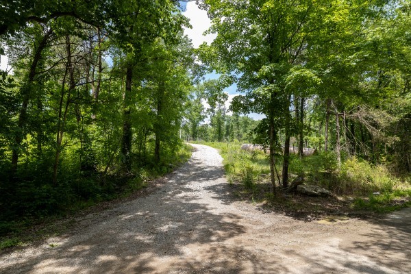 0 Goose Branch Road Lynchburg, TN 37352 - Photo 2 of 43 a backyard of a house with lots of green space