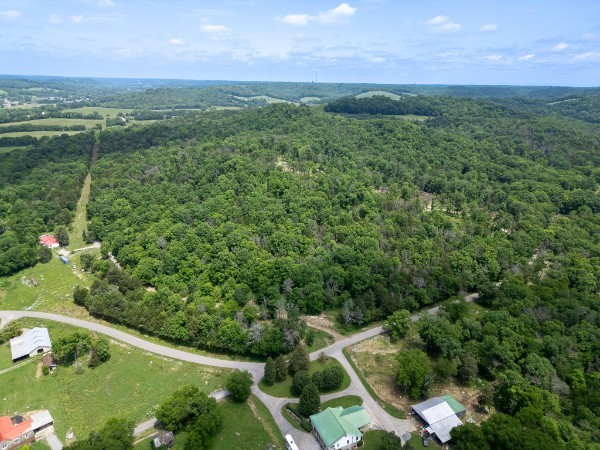 0 Goose Branch Road Lynchburg, TN 37352 - Photo 25 of 43 a view of a lush green outdoor space with a swimming pool and valleys in the background
